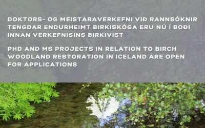 Doktors- og meistaraverkefni í boði – PhD and MS projects