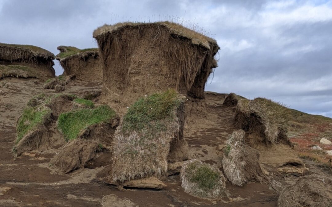 Uppgræðsluaðgerðir í Toddastykki