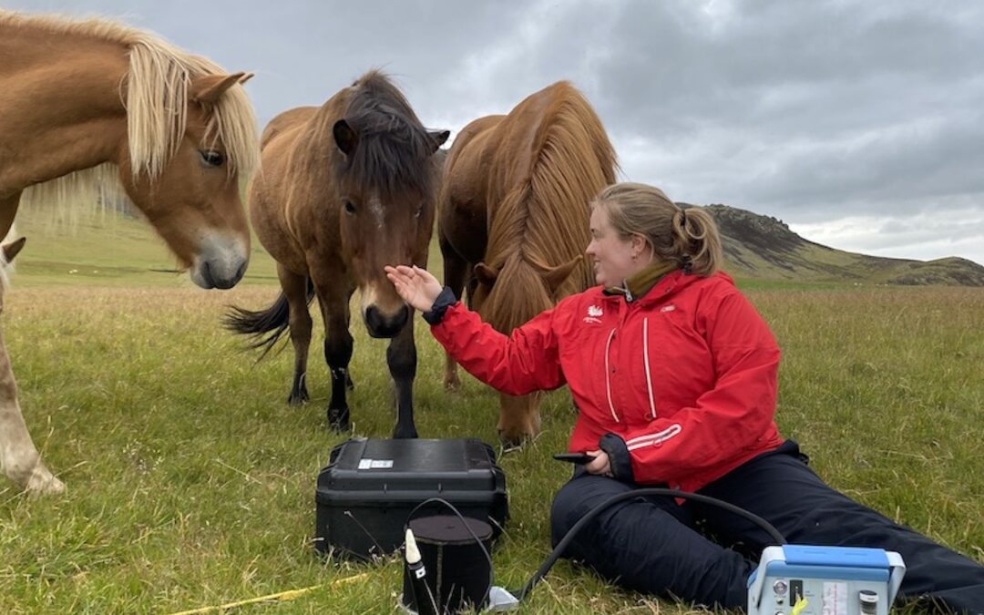 Sumarið í vettvangsvinnu